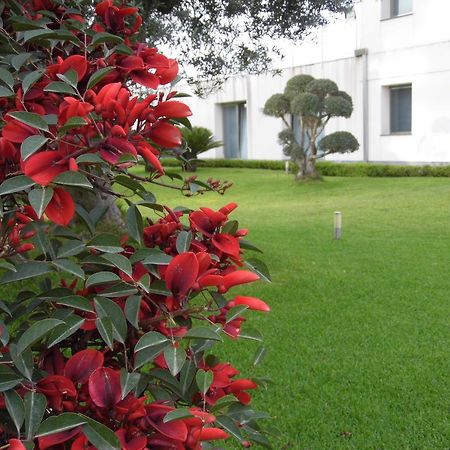 Fiore Dell'Etna Apartment Santa Venerina Ngoại thất bức ảnh