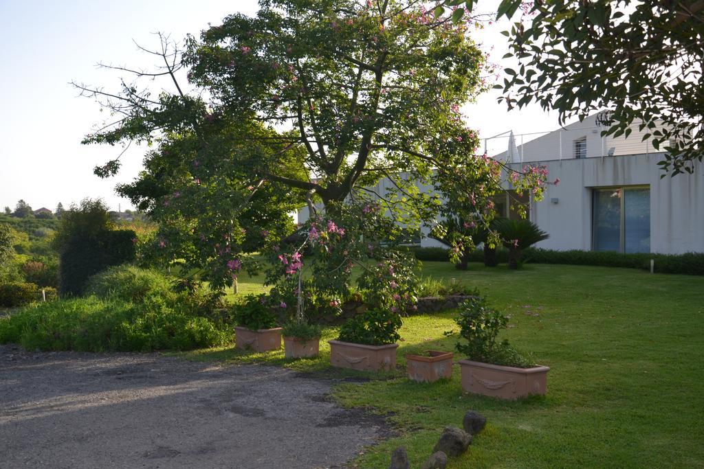 Fiore Dell'Etna Apartment Santa Venerina Ngoại thất bức ảnh