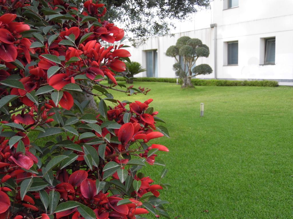 Fiore Dell'Etna Apartment Santa Venerina Ngoại thất bức ảnh
