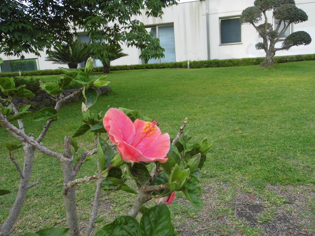 Fiore Dell'Etna Apartment Santa Venerina Ngoại thất bức ảnh