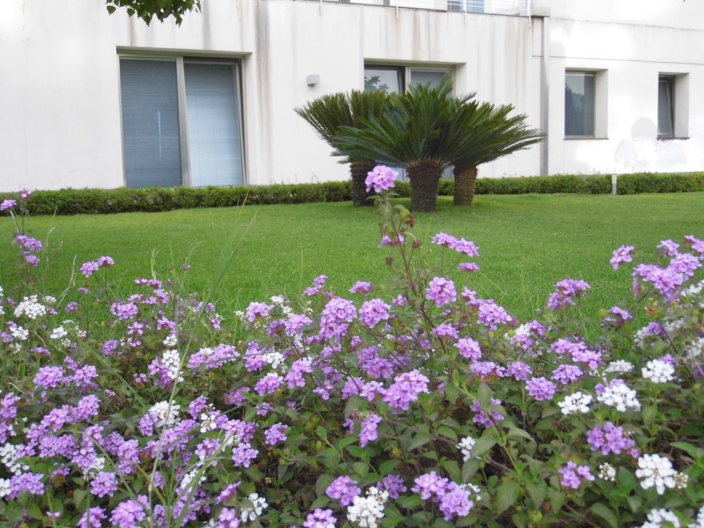 Fiore Dell'Etna Apartment Santa Venerina Ngoại thất bức ảnh